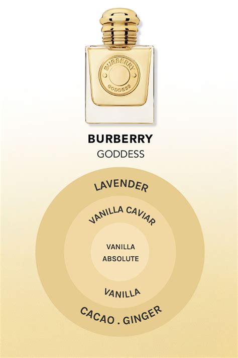 burberry body smell like|burberry original for women review.